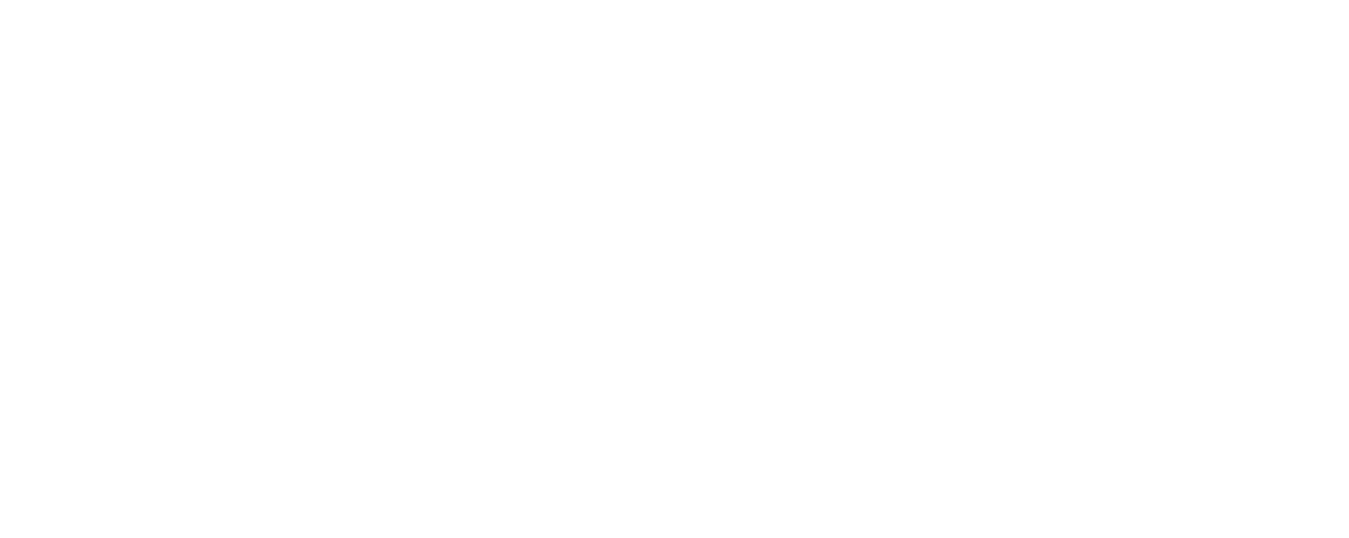 QSS Security Logo